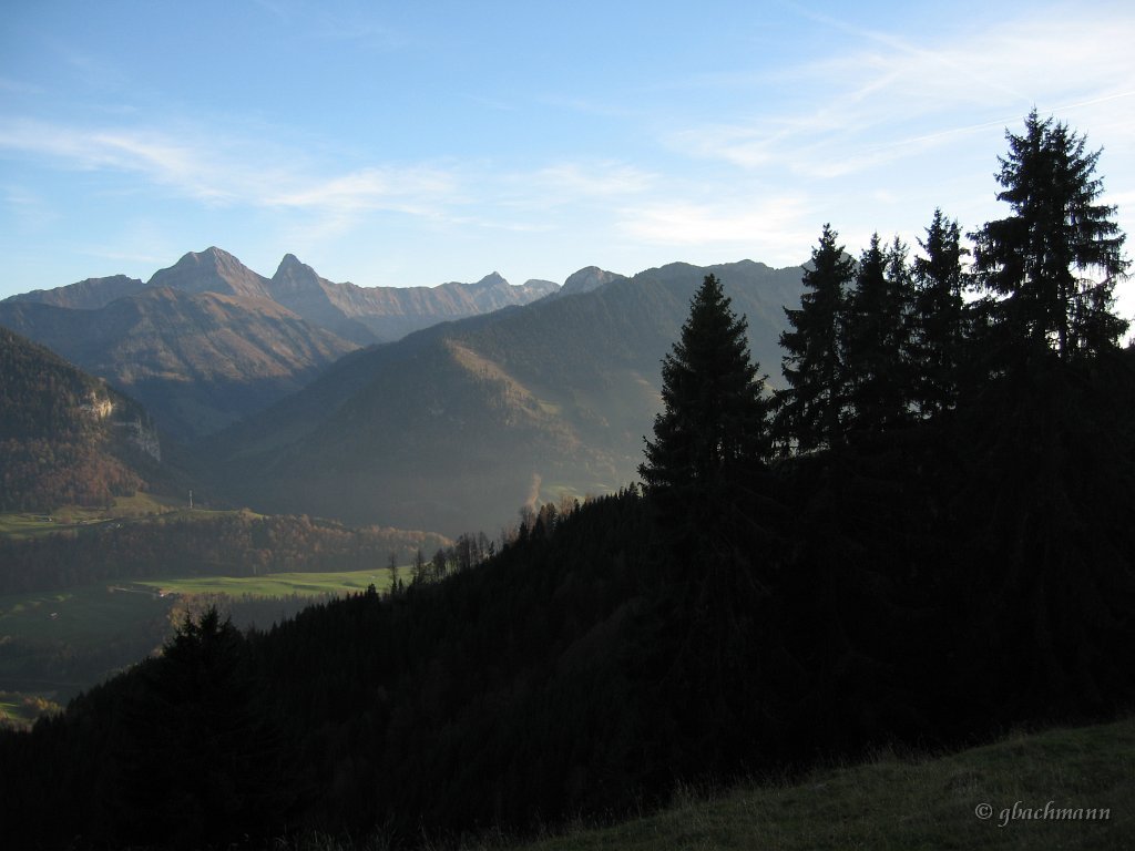 20081026_296